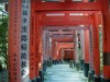 Fushimi Inari Gate of Kyoto, Japan